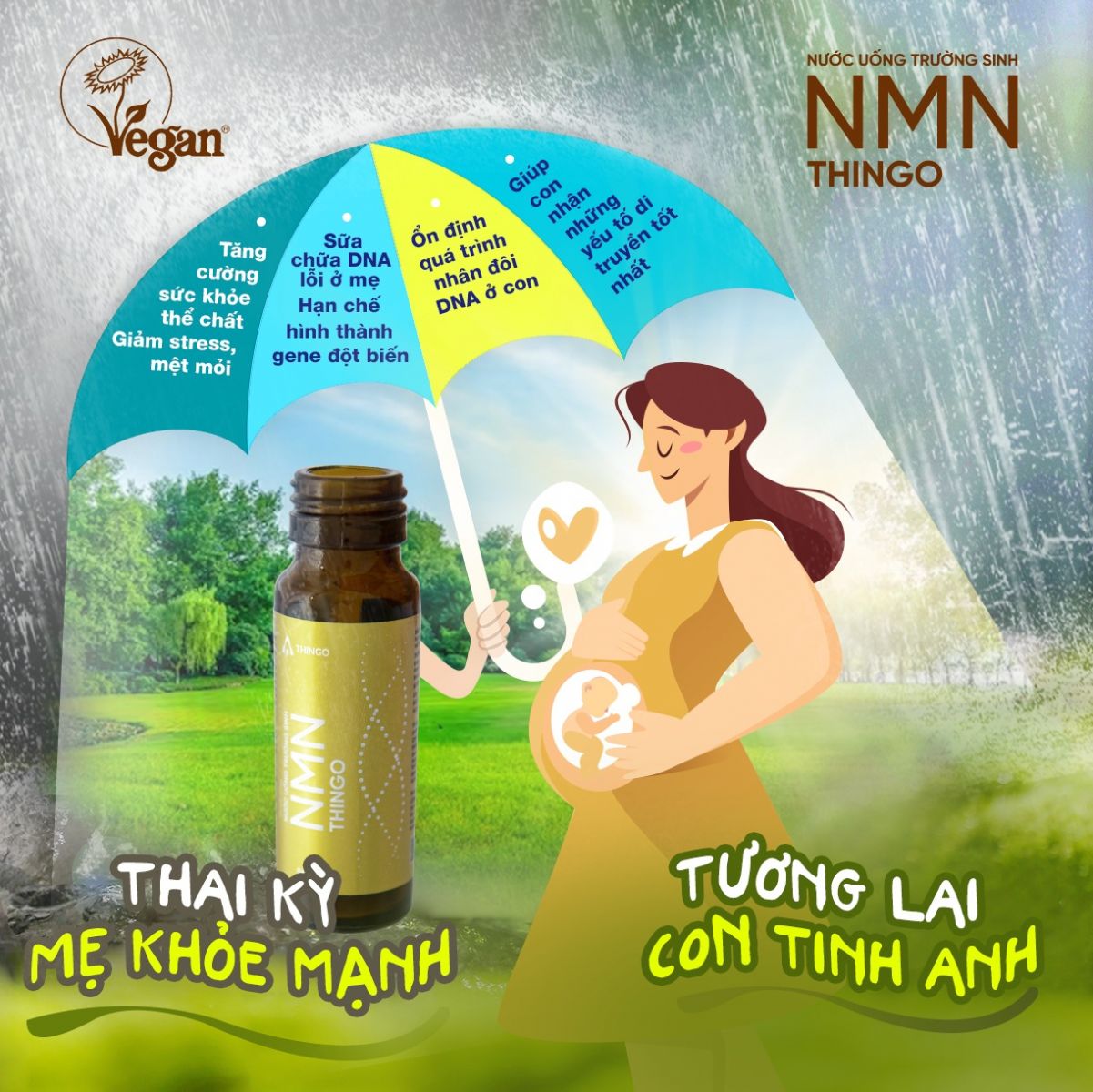 Nước uống NMN Thingo giúp thai kỳ mẹ khỏe mạnh - tương lai con tinh anh