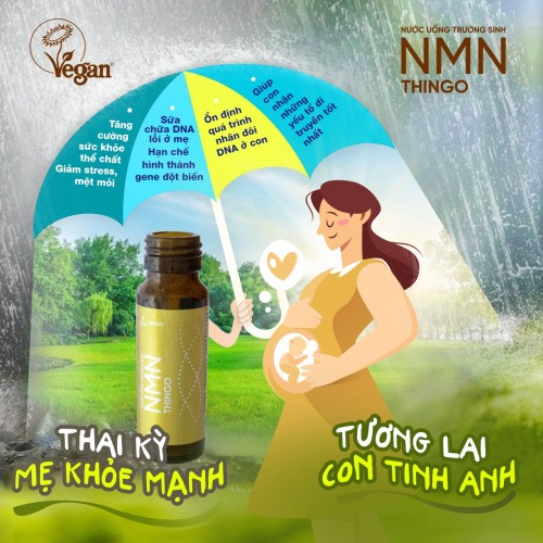 Nước uống NMN Thingo giúp thai kỳ mẹ khỏe mạnh - Tương lai con tinh anh