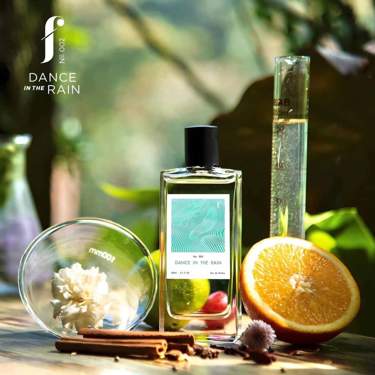 No.002 - Dance In The Rain