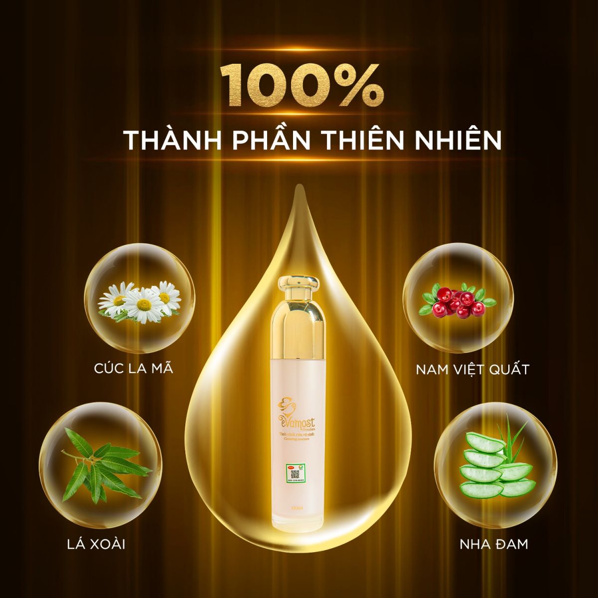 Thành phần dung dịch vệ sinh Evamost