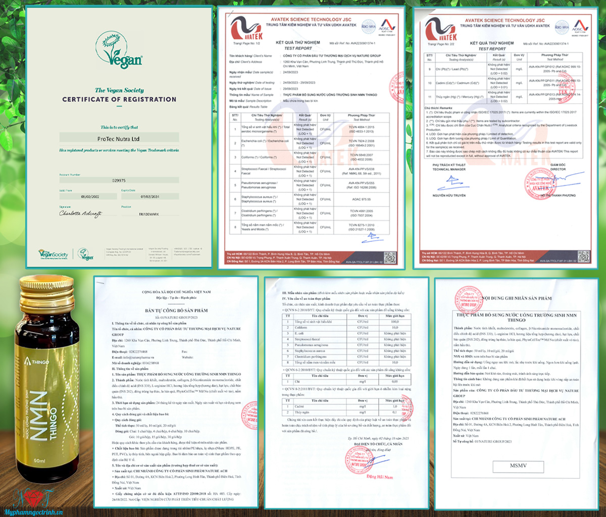 CHỨNG NHẬN CHẤT LƯỢNG SẢN PHẨM NƯỚC UỐNG TRƯỜNG SINH NMN THINGO